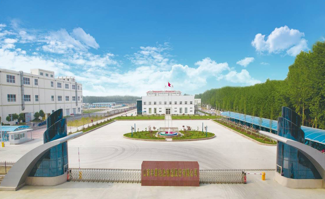 Shandong Fengyuan Tire Manufacturing Co.,Ltd  (внешний вид завода Massimo)