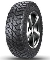 Doublestar T01