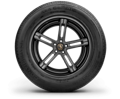 Continental 4X4 Contact купить в KOLOBOX